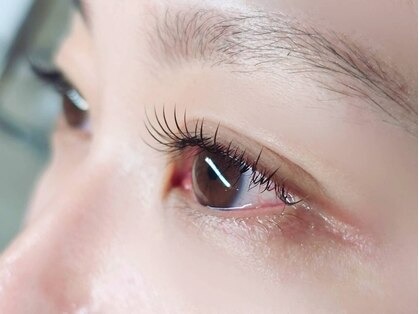 Ann Eyelash